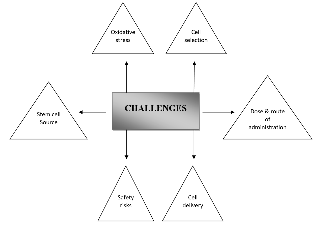 圖2:干細胞治療糖尿病腎病過程中的挑戰(zhàn) 圖2:干細胞治療糖尿病腎病過程中的挑戰(zhàn)