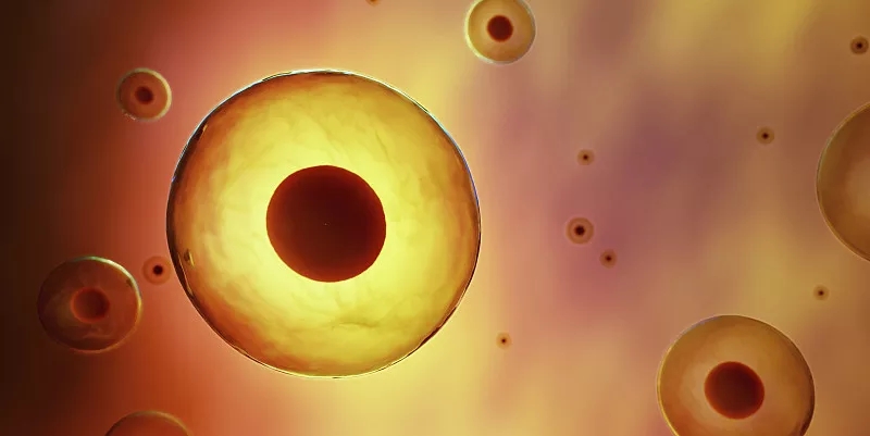 干細胞移植在治療自閉癥譜系障礙中的臨床研究 干細胞移植在治療自閉癥譜系障礙中的臨床研究