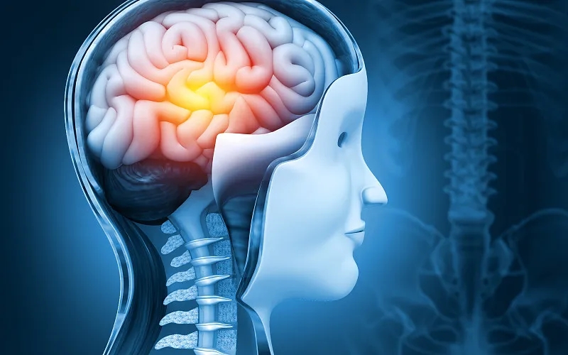 干細胞療法和大腦神經系統疾病：真相是什么？