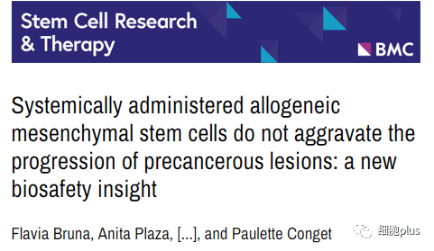 系統性施用同種異體間充質干細胞不會加劇癌前病變的進展:新的生物安全見解 系統性施用同種異體間充質干細胞不會加劇癌前病變的進展:新的生物安全見解
