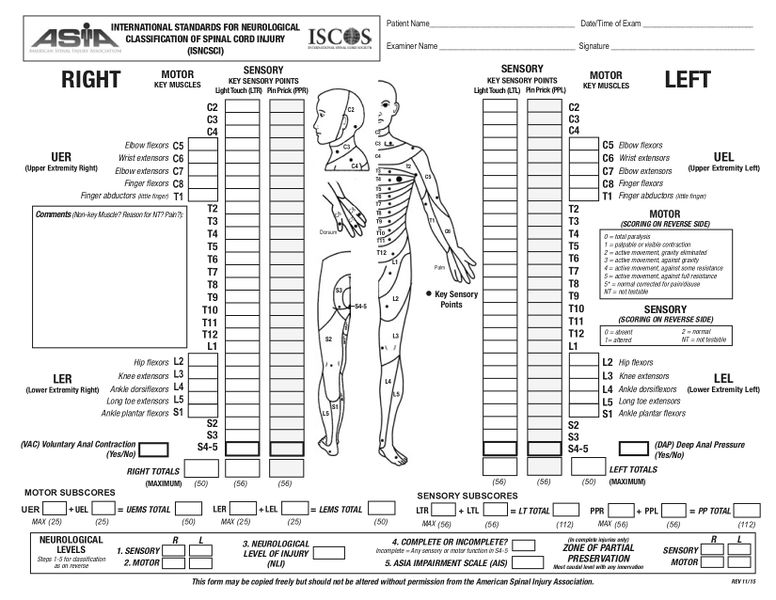 脊髓損傷神經學分類國際標準 (ISNCSCI) 脊髓損傷神經學分類國際標準 (ISNCSCI)