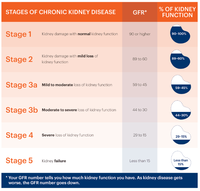 慢性腎病的階段、腎臟慢性腎病治療、腎衰竭治療費(fèi)用