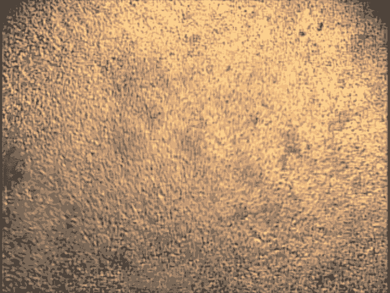 這些心臟細(xì)胞是從培養(yǎng)皿中的干細(xì)胞中培養(yǎng)出來的,可用于研究心臟的跳動節(jié)律。 這些心臟細(xì)胞是從培養(yǎng)皿中的干細(xì)胞中培養(yǎng)出來的,可用于研究心臟的跳動節(jié)律。