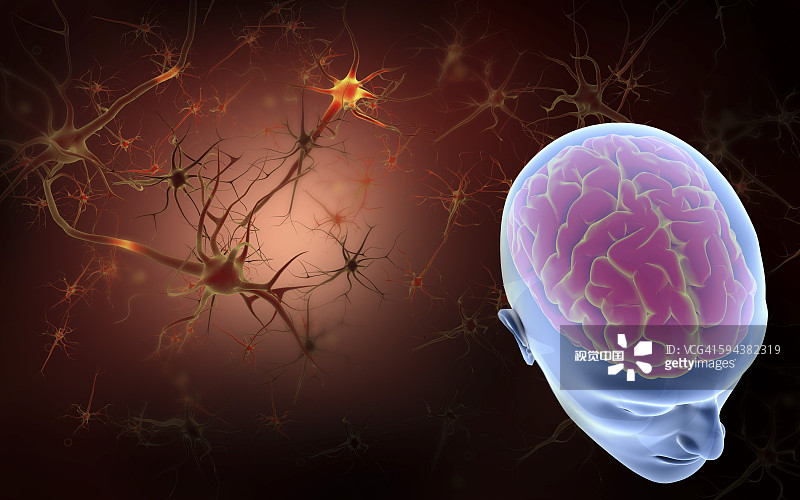 干細胞療法與神經系統疾病的概述(2023) 干細胞療法與神經系統疾病的概述(2023)