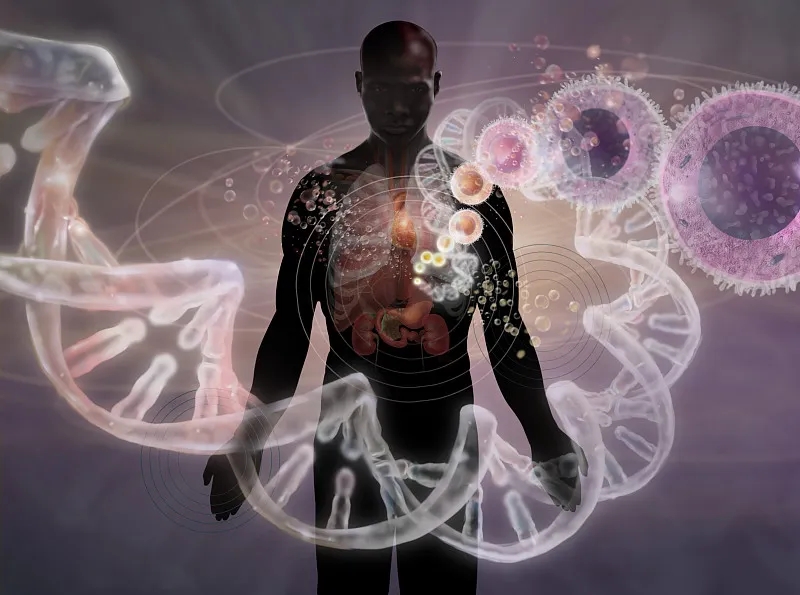 干細胞療法治療急性和慢性創(chuàng)傷性腦損傷的臨床研究回顧 干細胞療法治療急性和慢性創(chuàng)傷性腦損傷的臨床研究回顧