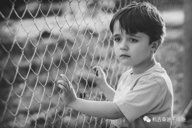 贛南醫科大學:干細胞治療自閉癥兒童的療效和安全性分析 贛南醫科大學:干細胞治療自閉癥兒童的療效和安全性分析