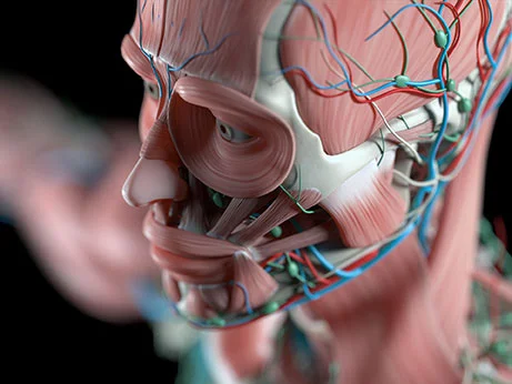 人類是由什么構成的