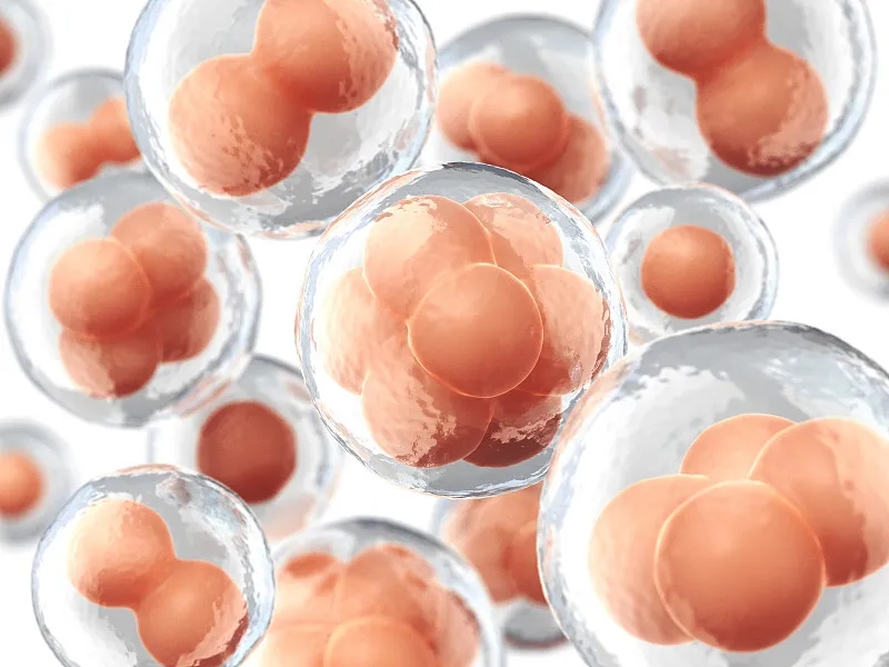 干細胞治療慢性阻塞肺病 干細胞治療慢性阻塞肺病