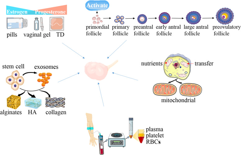 圖1:治療卵巢早衰的方法 圖1:治療卵巢早衰的方法