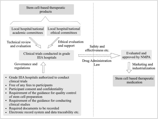 圖1。雙軌制監管體制運行模式