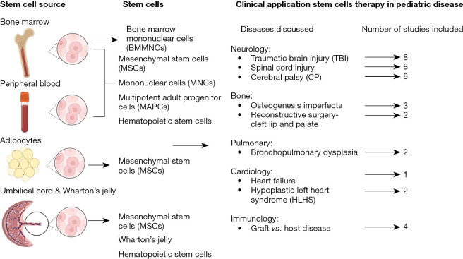 圖1:干細胞的來源和干細胞治療的臨床應用。 圖1:干細胞的來源和干細胞治療的臨床應用。