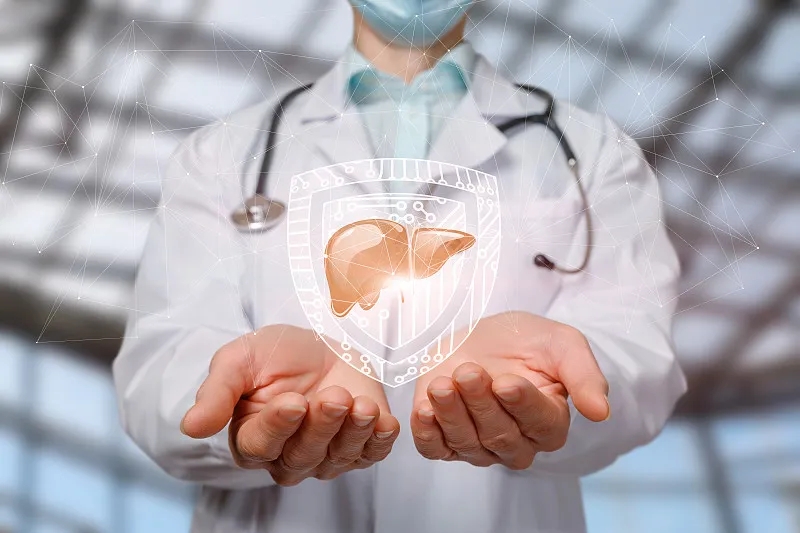 間充質干細胞治療肝病:現狀與展望 間充質干細胞治療肝病:現狀與展望