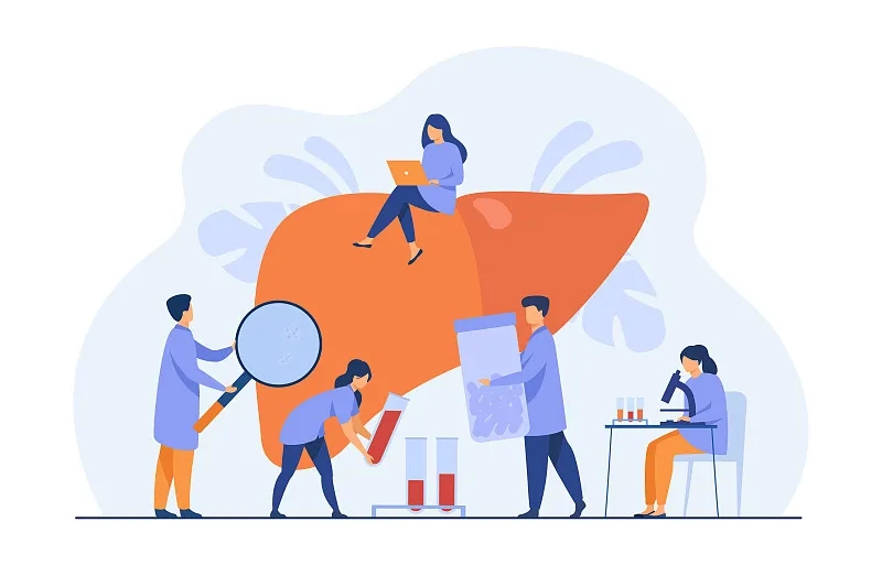 肝臟有什么作用？