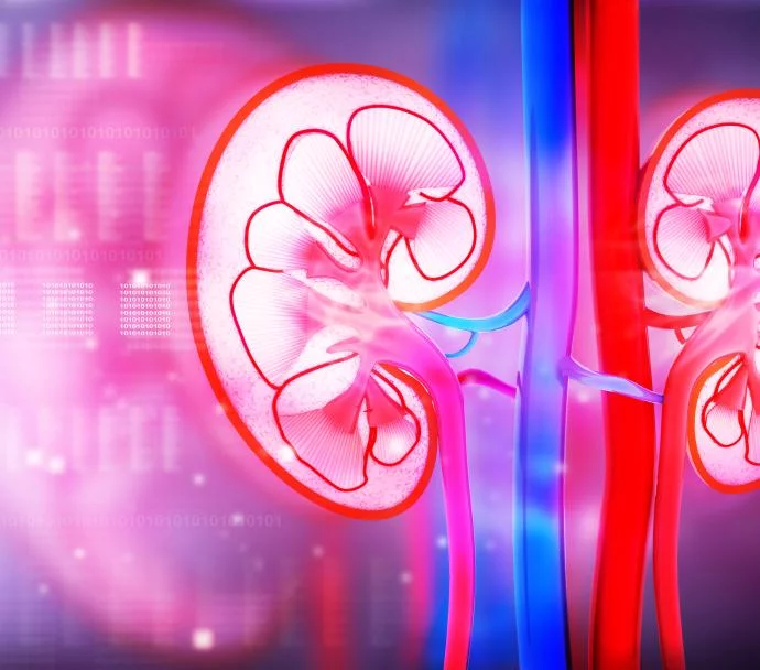 腎臟疾病的類型有哪些? 腎臟疾病的類型有哪些?