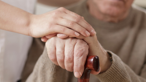 研究表明免疫調節性TREGS可增強干細胞治療帕金森病的效果 研究表明免疫調節性TREGS可增強干細胞治療帕金森病的效果