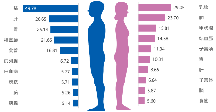 中山大學(xué)腫瘤防治中心揭示:免疫細(xì)胞治療,助最高發(fā)的5大癌癥患者重獲新生! 中山大學(xué)腫瘤防治中心揭示:免疫細(xì)胞治療,助最高發(fā)的5大癌癥患者重獲新生!