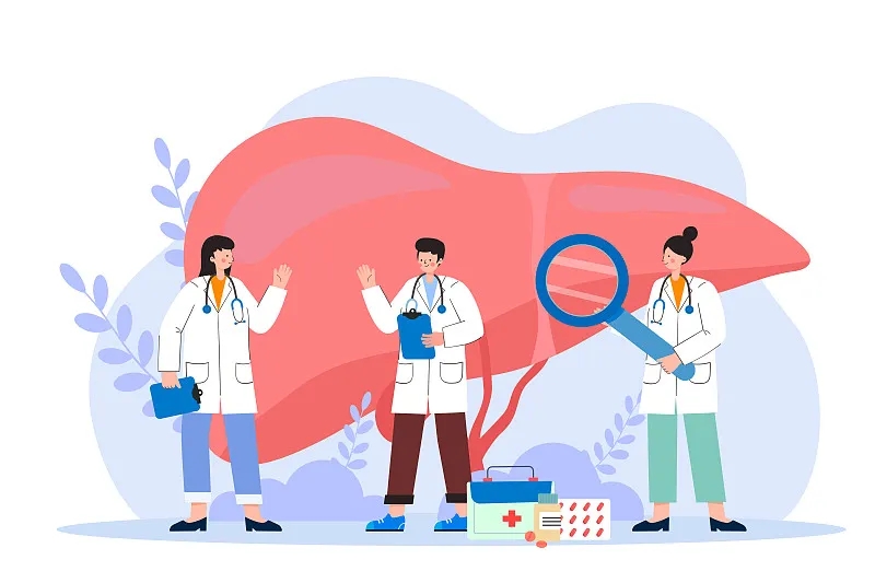 間充質(zhì)干細胞治療肝病的新視角：恢復(fù)線粒體功能