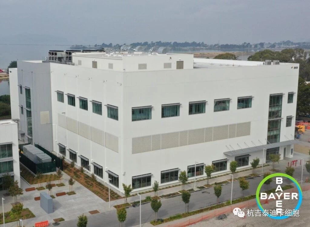 投資2.5億美元！拜耳新建細胞治療工廠，推進細胞療法生產(chǎn)！