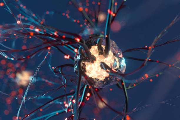 神經(jīng)干細(xì)胞移植治療原發(fā)性扭轉(zhuǎn)肌張力障礙:一例報(bào)告 神經(jīng)干細(xì)胞移植治療原發(fā)性扭轉(zhuǎn)肌張力障礙:一例報(bào)告