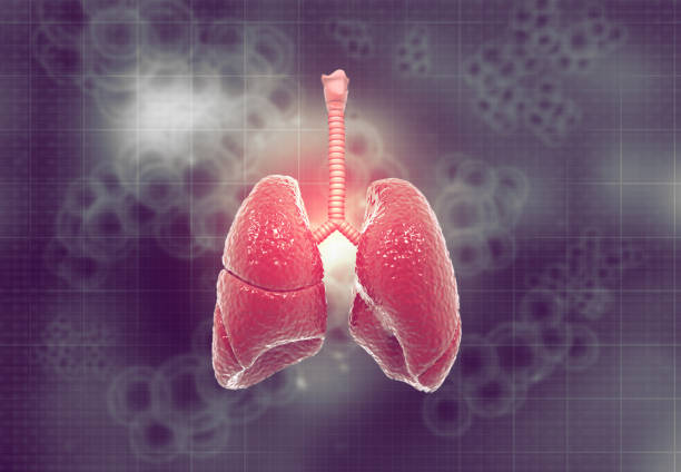 肺纖維化:干細胞治療是前進的方向嗎? 肺纖維化:干細胞治療是前進的方向嗎?