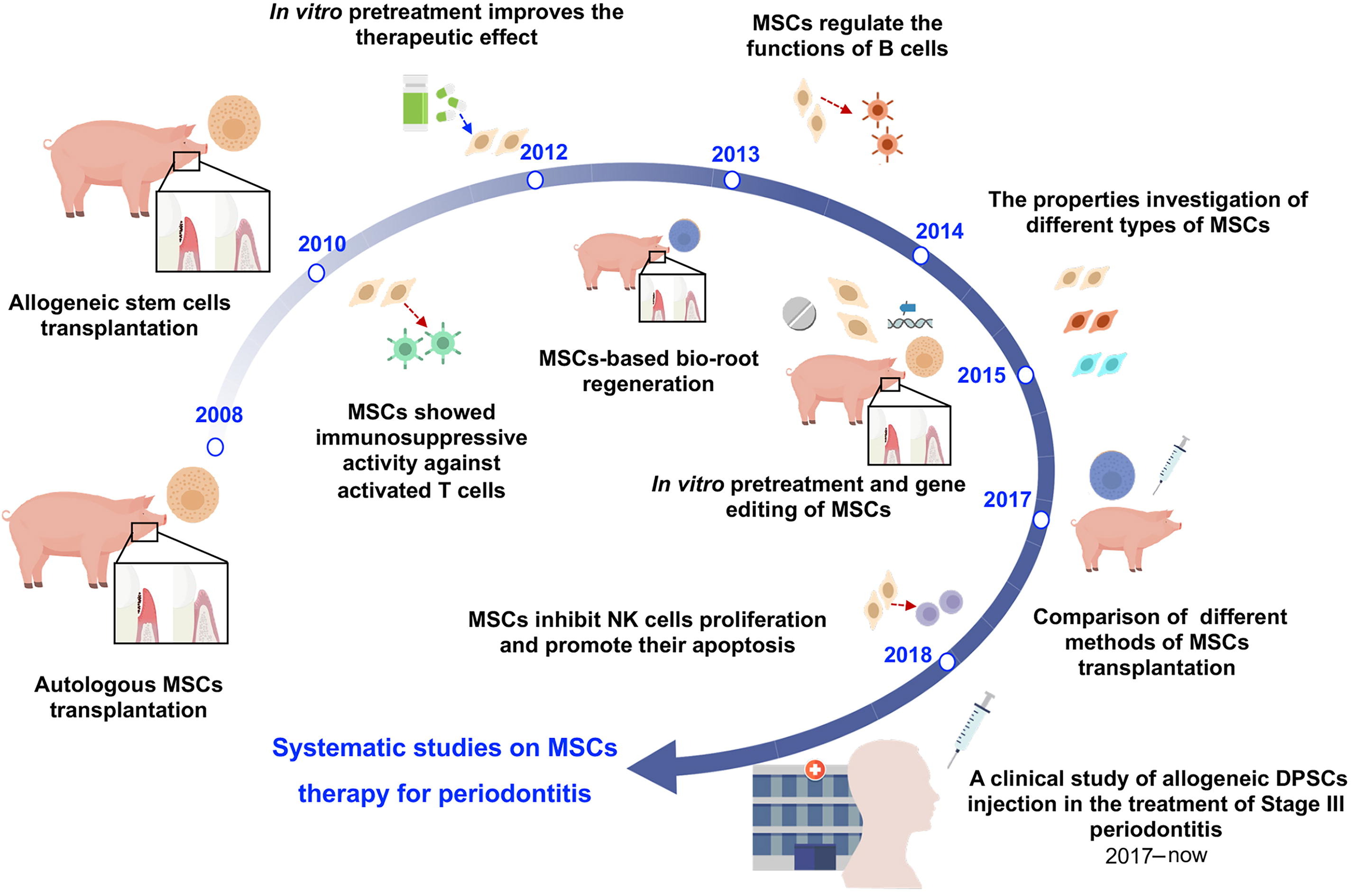 圖1:中國開發(fā)治療牙周炎的間充質(zhì)干細(xì)胞藥物示意圖 圖1:中國開發(fā)治療牙周炎的間充質(zhì)干細(xì)胞藥物示意圖