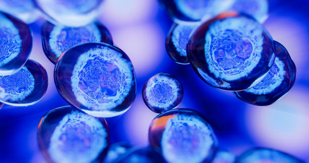 人間充質(zhì)干細(xì)胞藥物的開發(fā)及臨床應(yīng)用 人間充質(zhì)干細(xì)胞藥物的開發(fā)及臨床應(yīng)用