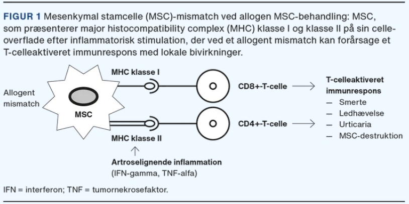 MHC錯(cuò)配可能會(huì)在同種異體治療期間引起免疫反應(yīng),這已在從第一次治療到第二次治療的重復(fù)治療中得到證實(shí) MHC錯(cuò)配可能會(huì)在同種異體治療期間引起免疫反應(yīng),這已在從第一次治療到第二次治療的重復(fù)治療中得到證實(shí)