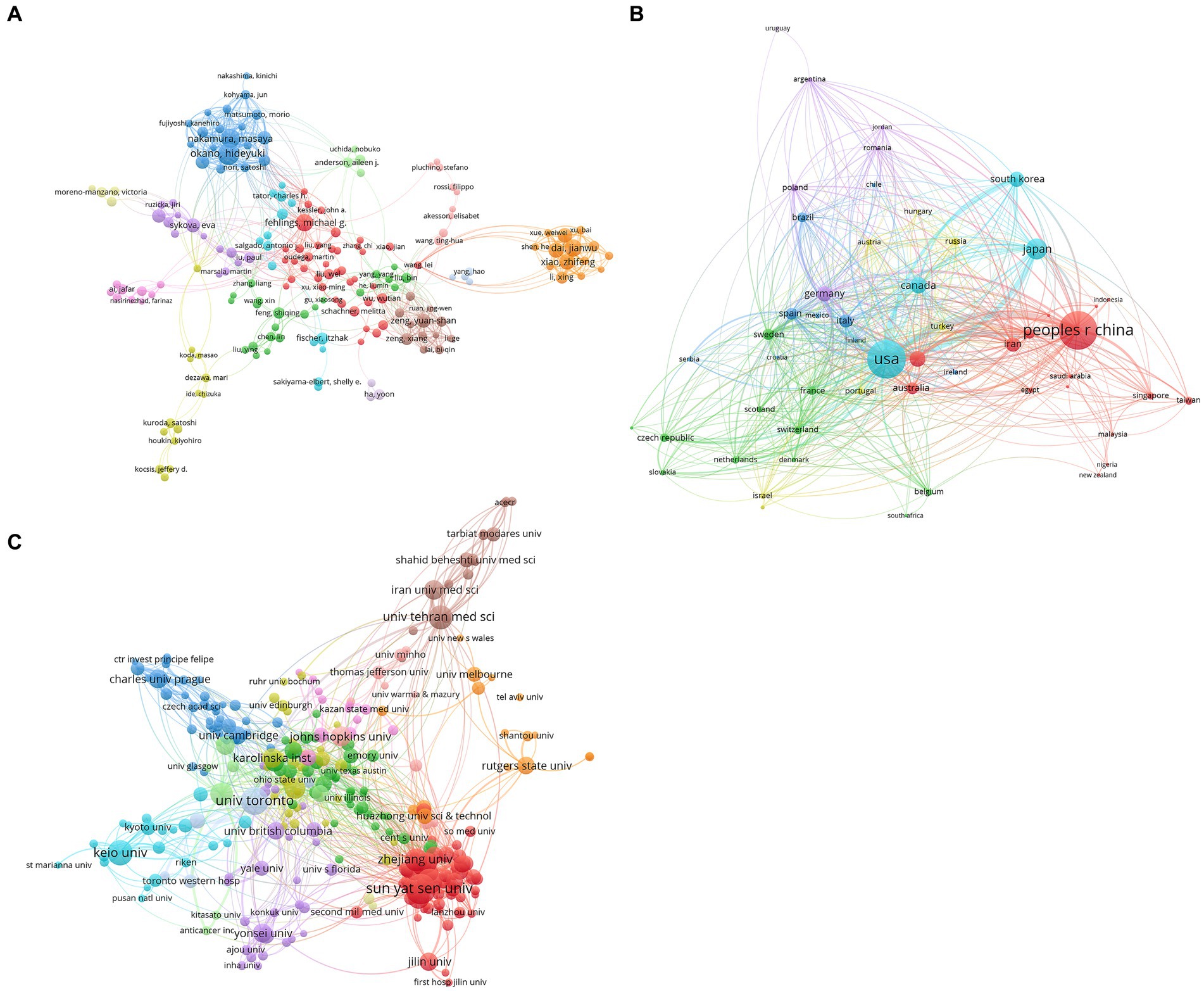 圖4:干細胞治療脊髓損傷研究的合著者分析。 圖4:干細胞治療脊髓損傷研究的合著者分析。