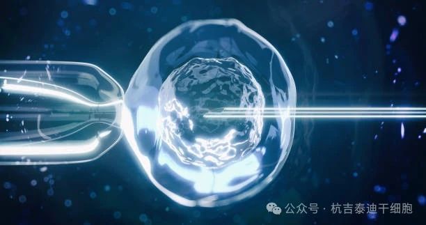 干細胞療法如何減緩肺部疾病的癥狀？