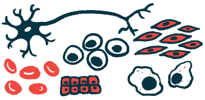 帕金森病今日新聞:胚胎干細胞移植在12名患者中顯示出安全性 帕金森病今日新聞:胚胎干細胞移植在12名患者中顯示出安全性