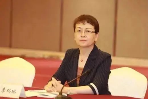 云南省副省長、民進中央常委李瑪琳 云南省副省長、民進中央常委李瑪琳