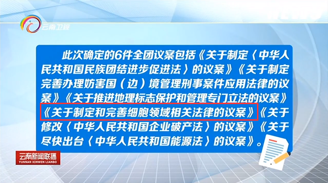 關于制定和完善細胞領域相關法律的議案 關于制定和完善細胞領域相關法律的議案