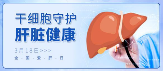3.18全國愛肝日 | 讓干細胞療法守護您的肝臟健康 3.18全國愛肝日 | 讓干細胞療法守護您的肝臟健康