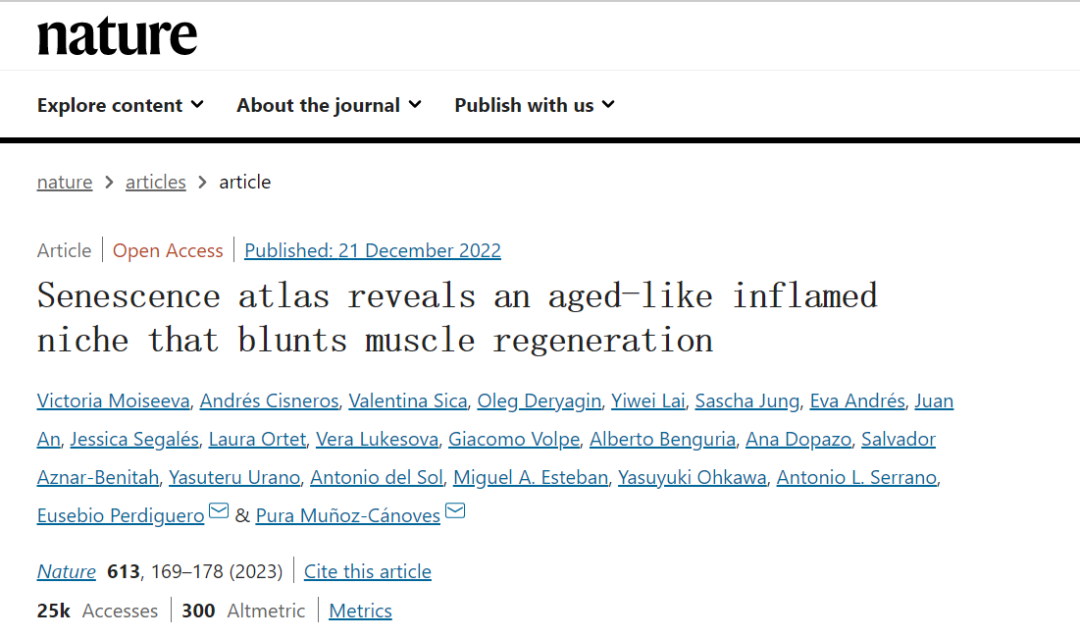 衰老圖譜揭示了類似衰老的炎癥微環(huán)境，阻礙了肌肉再生