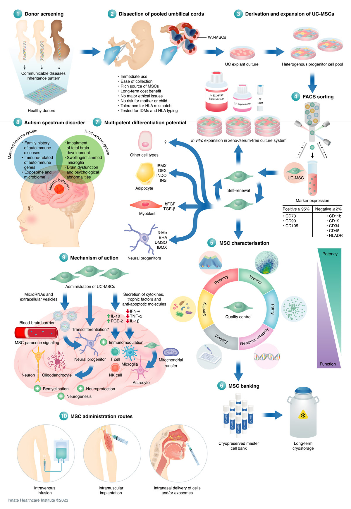 干細胞采集過程是什么樣的？干細胞如何移植治療自閉癥？