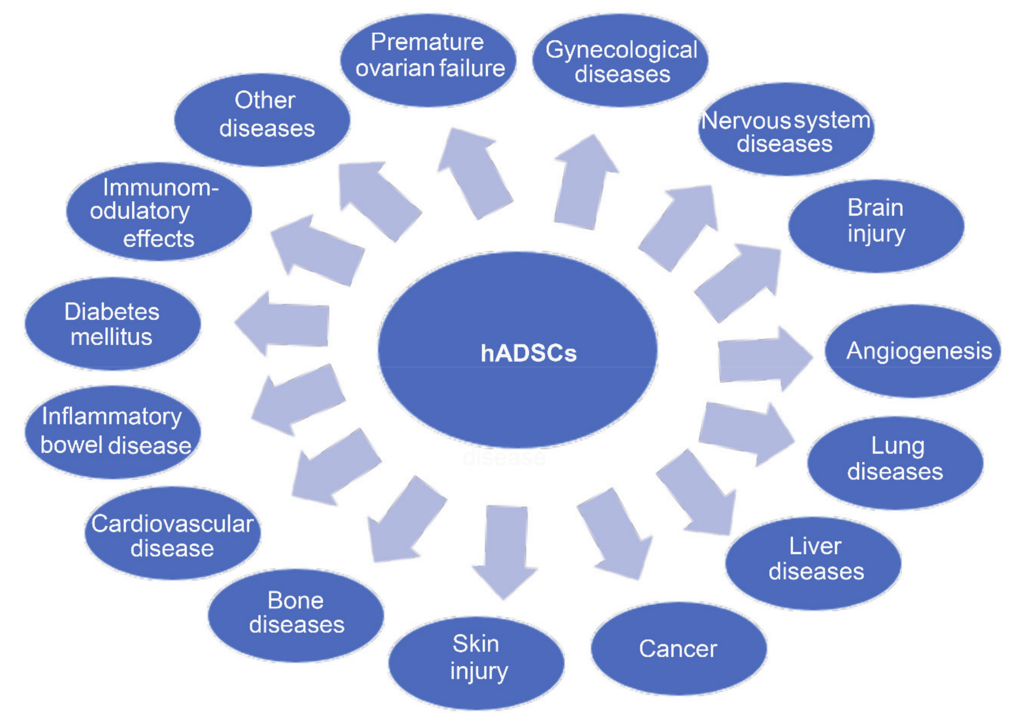 圖3.人羊膜來源干細胞治療疾病 圖3.人羊膜來源干細胞治療疾病