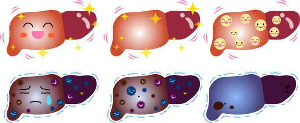 肝衰竭:急性和慢性有什么分別? 肝衰竭:急性和慢性有什么分別?