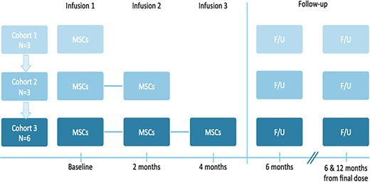本研究是一項I期開放標(biāo)簽劑量遞增試驗，研究對象為患有ASD的幼兒，靜脈輸注一次、兩次或三次hCT-MSC