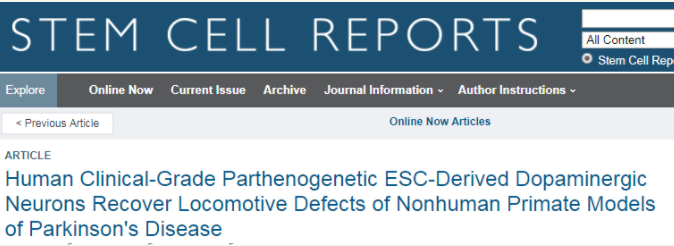 人類臨床級(jí)孤雌生殖 ESC 衍生的多巴胺能神經(jīng)元可恢復(fù)非人類靈長類動(dòng)物帕金森病模型的運(yùn)動(dòng)缺陷 人類臨床級(jí)孤雌生殖 ESC 衍生的多巴胺能神經(jīng)元可恢復(fù)非人類靈長類動(dòng)物帕金森病模型的運(yùn)動(dòng)缺陷