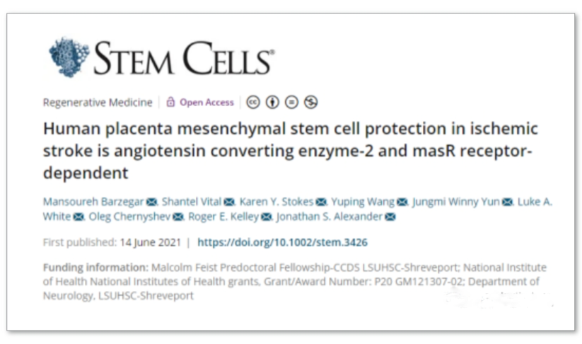 人胎盤間充質干細胞對缺血性中風的保護作用是血管緊張素轉換酶-2 和 masR 受體依賴性的