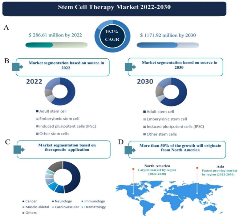 干細胞治療市場 2022-2030