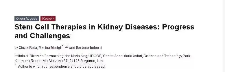 腎臟疾病的干細胞治療:進展與挑戰 腎臟疾病的干細胞治療:進展與挑戰