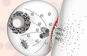 優于傳統療法 優于傳統療法