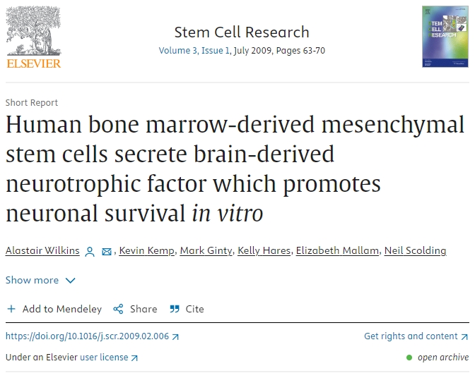人類骨髓間充質(zhì)干細胞分泌腦源性神經(jīng)營養(yǎng)因子,促進體外神經(jīng)元存活 人類骨髓間充質(zhì)干細胞分泌腦源性神經(jīng)營養(yǎng)因子,促進體外神經(jīng)元存活