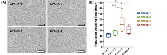 健康組(第1組)和2型糖尿病患者的自體骨髓來源間充質干細胞(BM-MSCs)的表征對比 健康組(第1組)和2型糖尿病患者的自體骨髓來源間充質干細胞(BM-MSCs)的表征對比