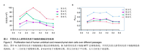 不同代次人臍帶間充質于細胞的增殖活性檢測 不同代次人臍帶間充質于細胞的增殖活性檢測
