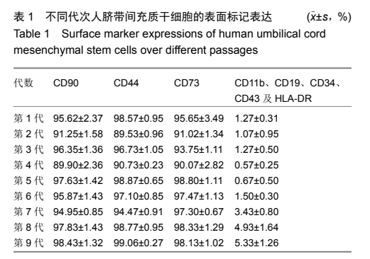 不同代次人臍帶間充質干細胞的表面標記表達 不同代次人臍帶間充質干細胞的表面標記表達