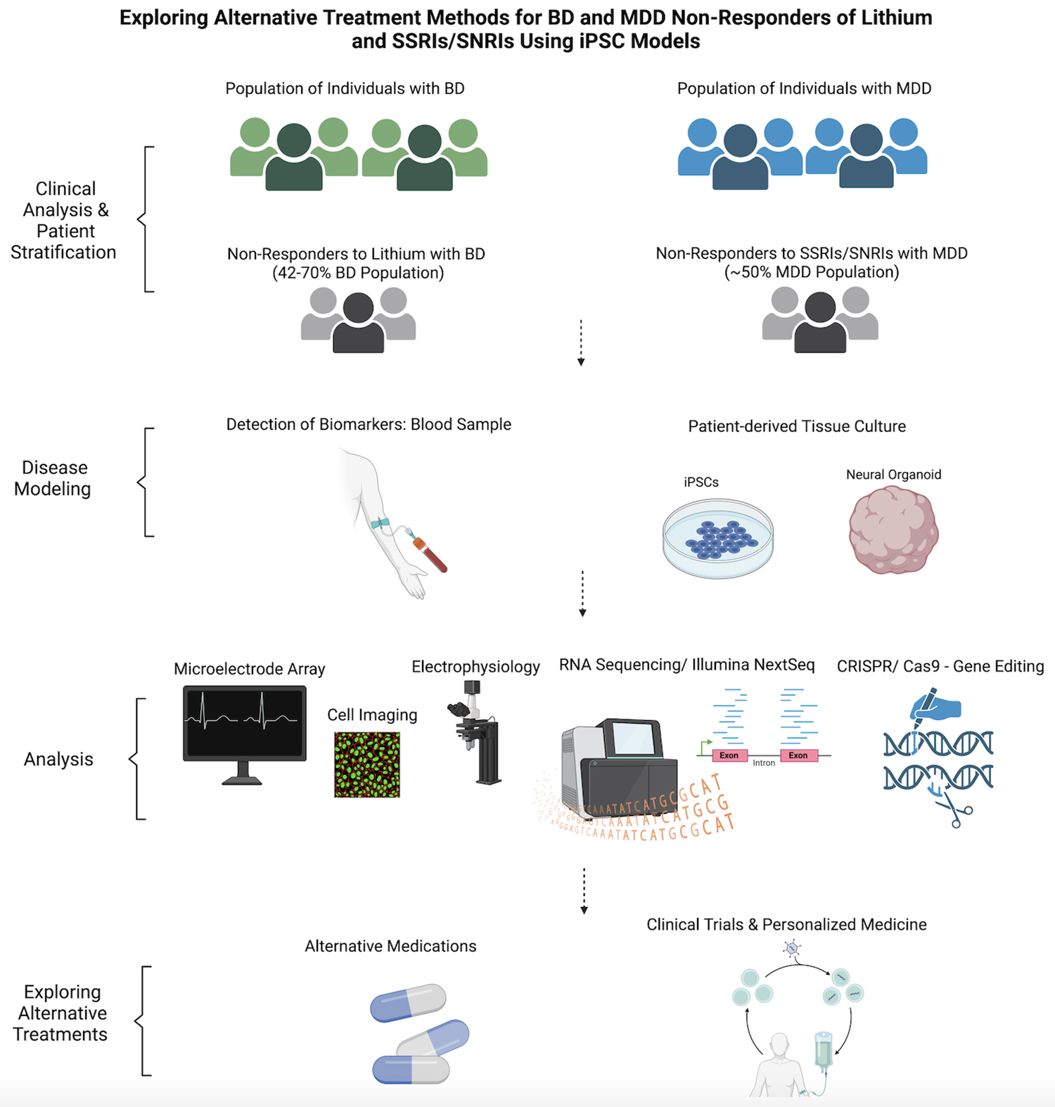 芹菜素更有效地減弱了BD患者iPSC衍生星形膠質細胞的炎癥反應。 芹菜素更有效地減弱了BD患者iPSC衍生星形膠質細胞的炎癥反應。
