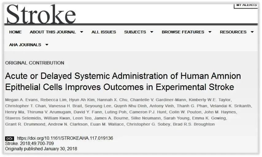 急性或延遲全身給藥羊膜上皮細(xì)胞改善實(shí)驗(yàn)性腦卒中的預(yù)后