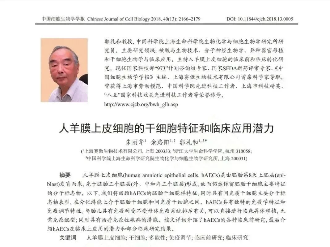 人羊膜上皮細(xì)胞的干細(xì)胞特征和臨床應(yīng)用潛力